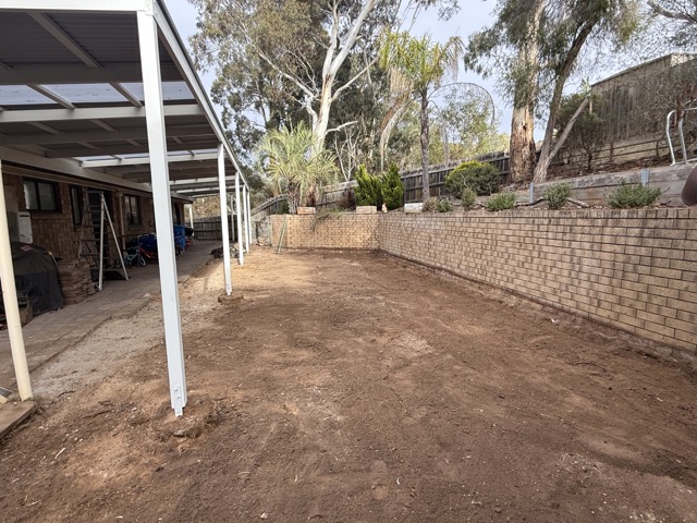 20250617_001825694_iOS Medium