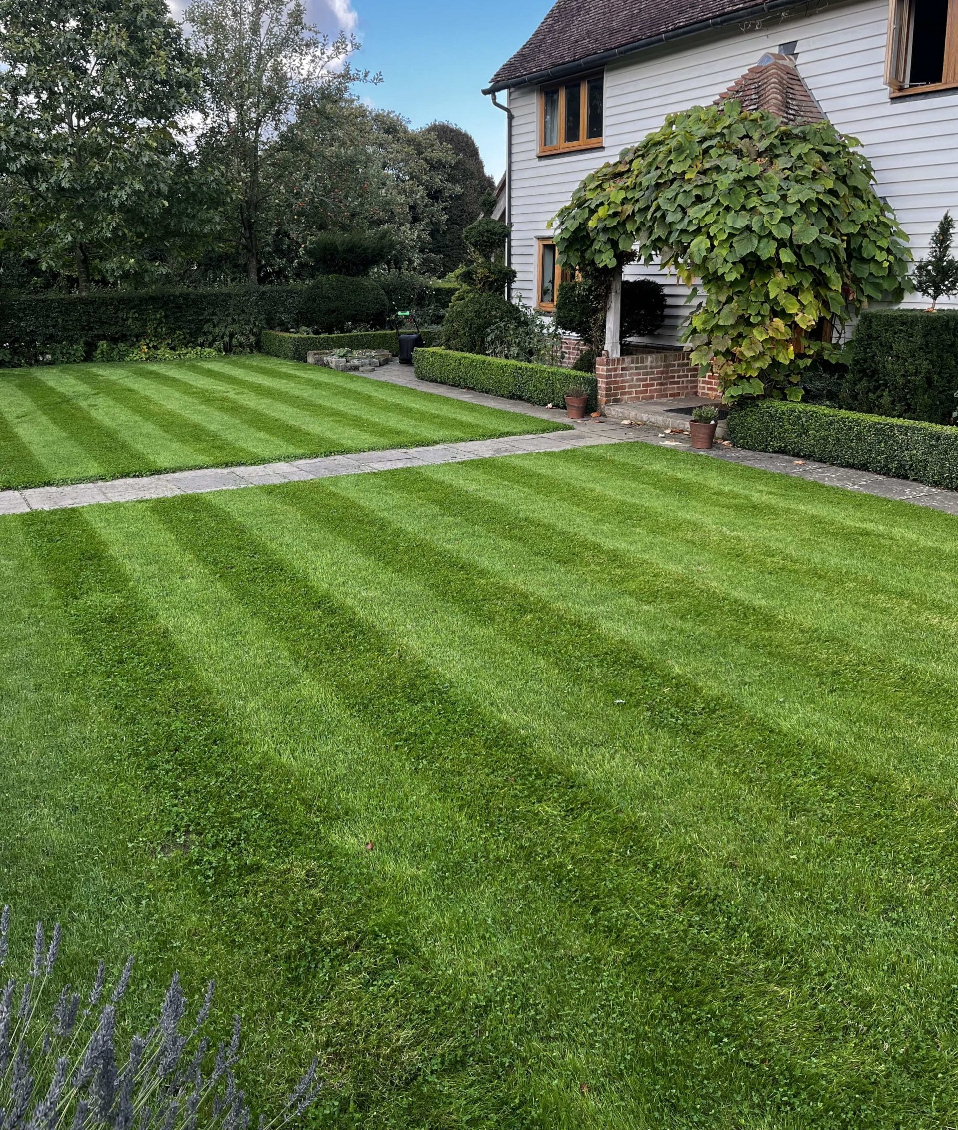 Turf & Lawns imagee new